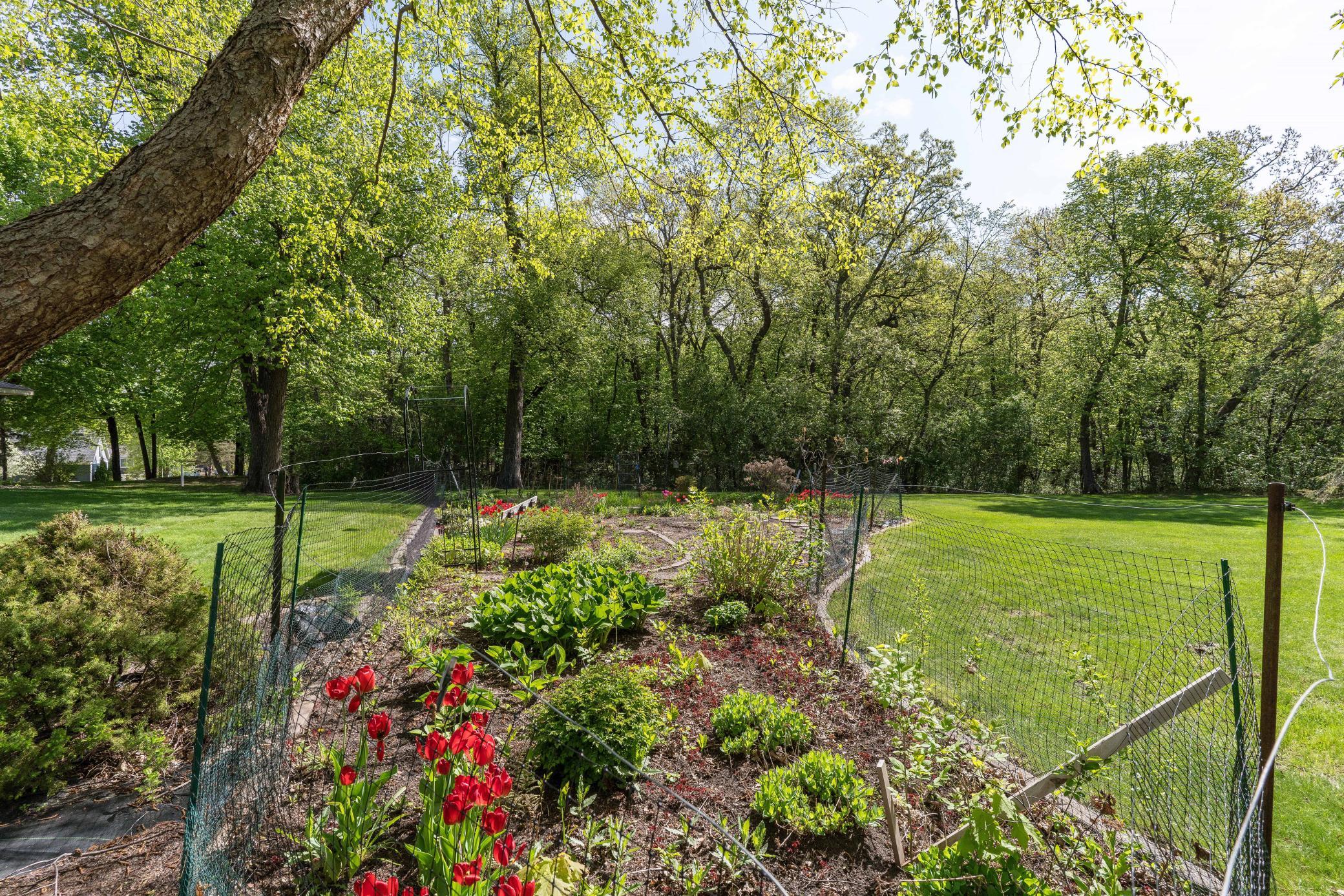 Garden between Home and Morton Bldg