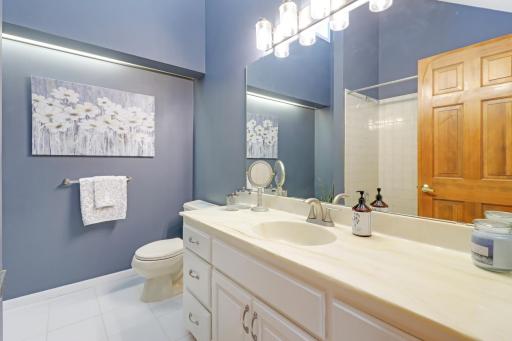 8141 Maplewood Terrace, Chanhassen, MN 55317