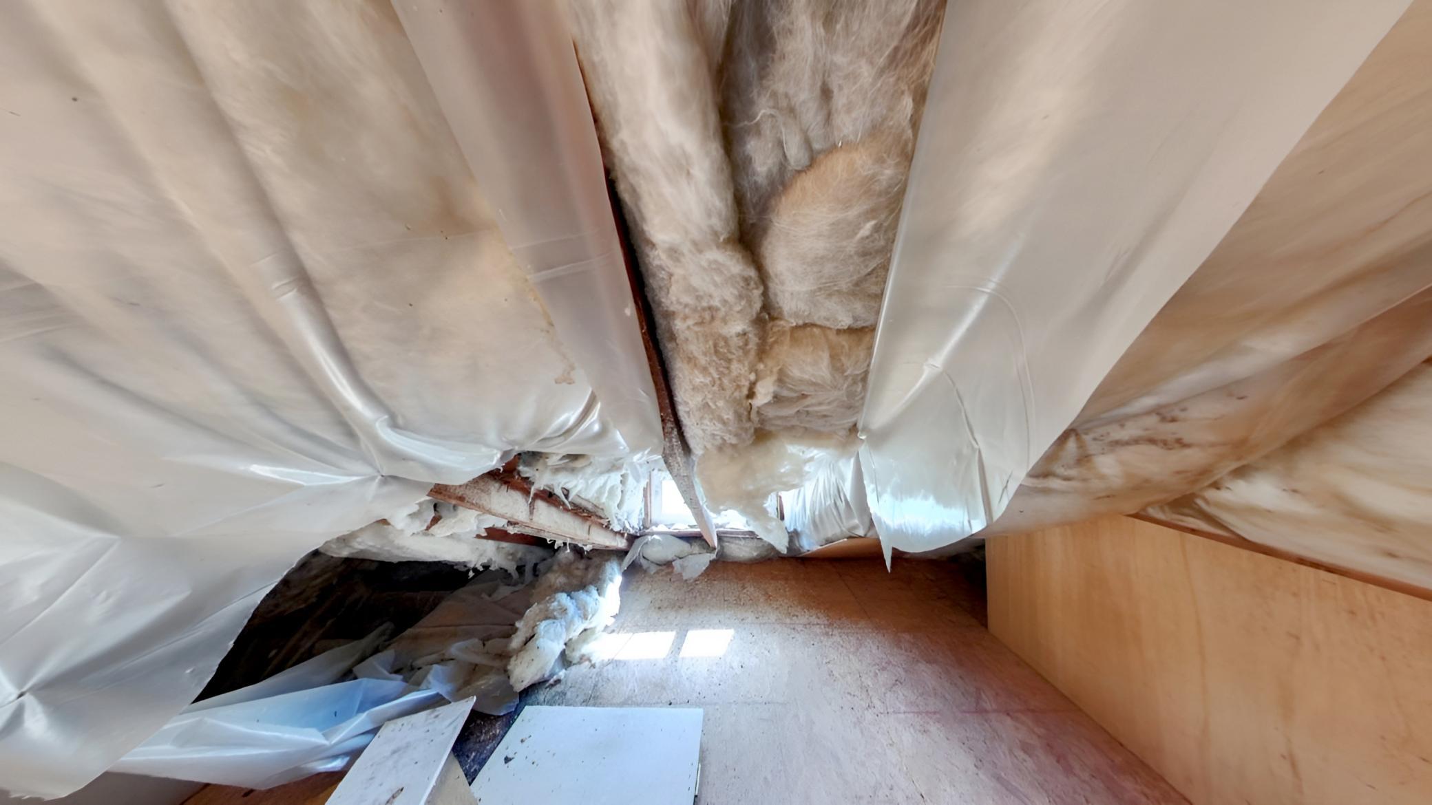 Attic_.jpeg