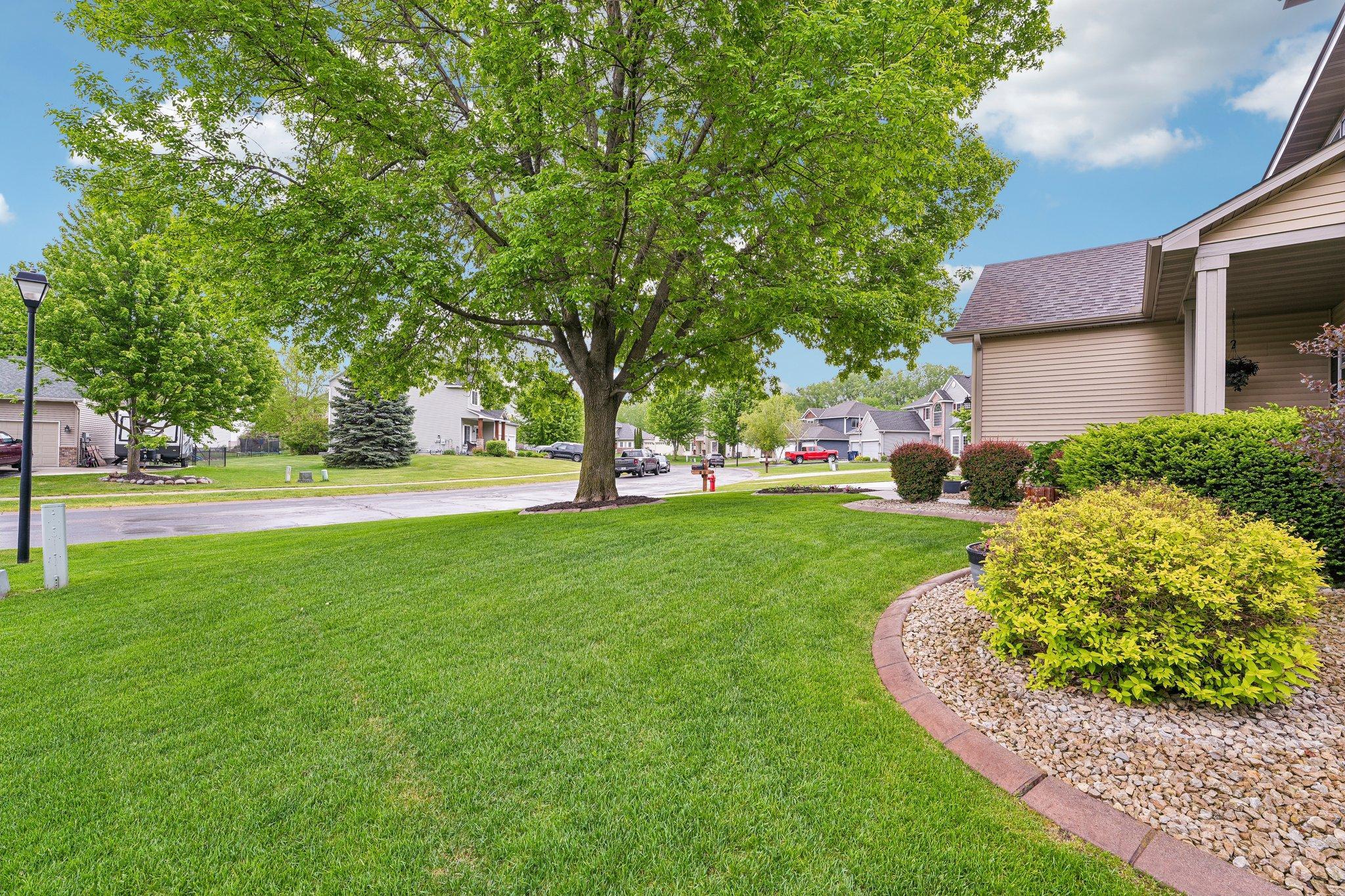 Beautiful yard