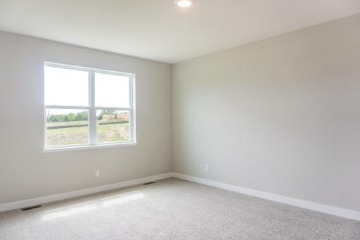 717 Winterberry Lane, Waconia, MN 55387