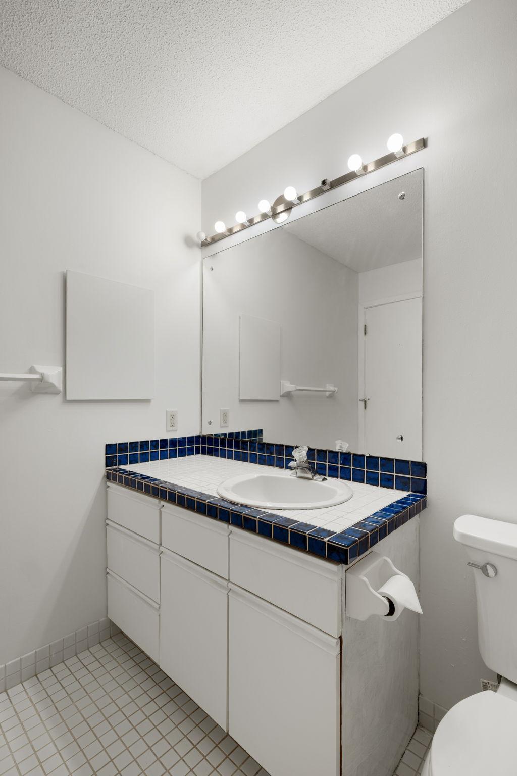 Bathroom vanity with generous counter space and oversized mirror.