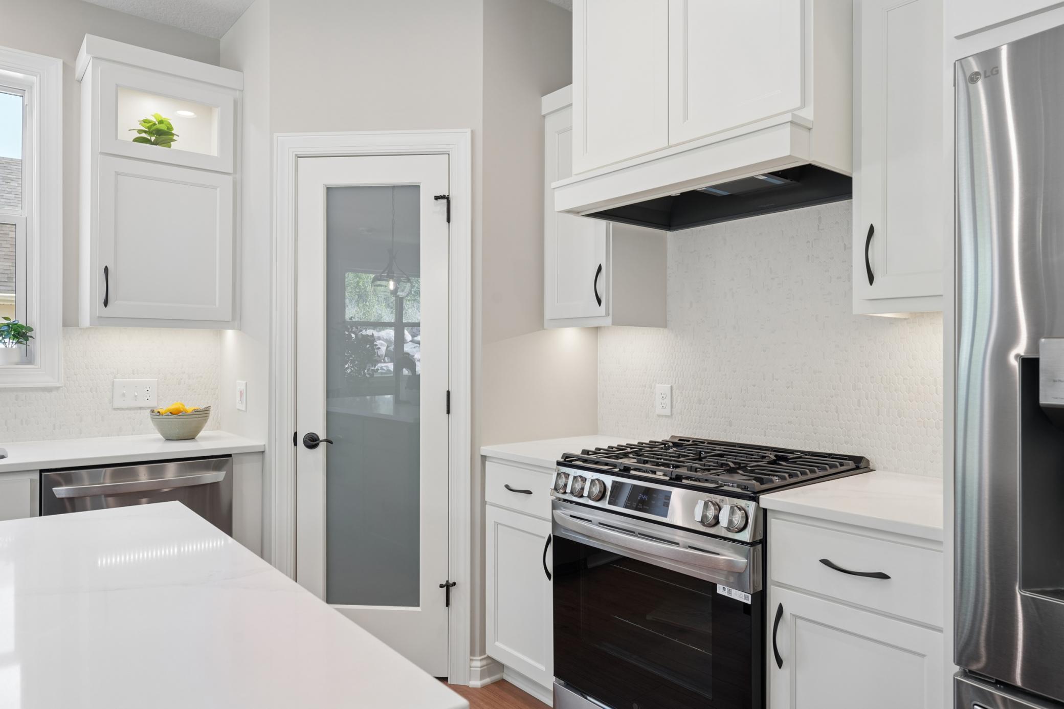 Elegant Hood & Gas Range