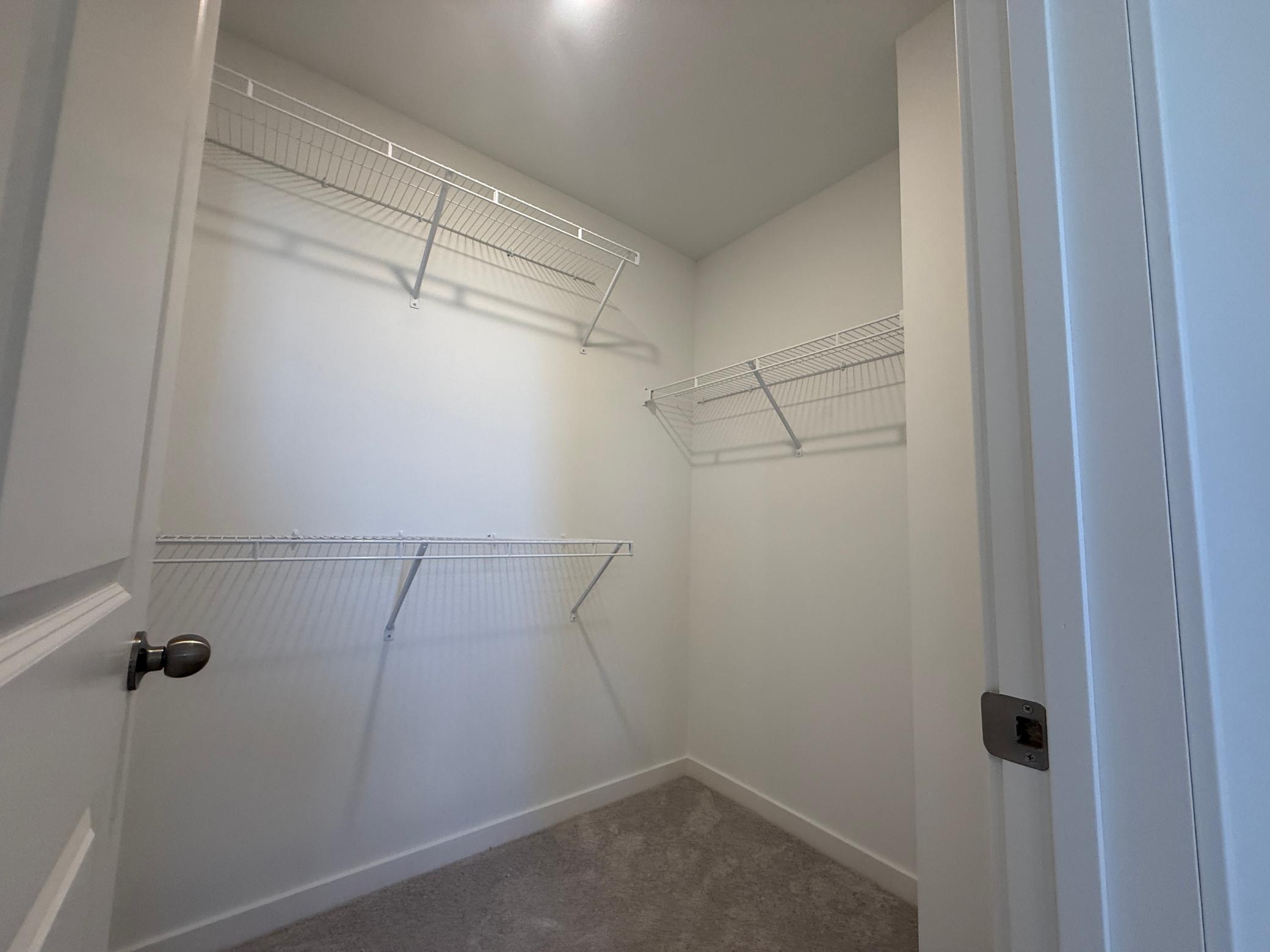Primary Bathroom Closet