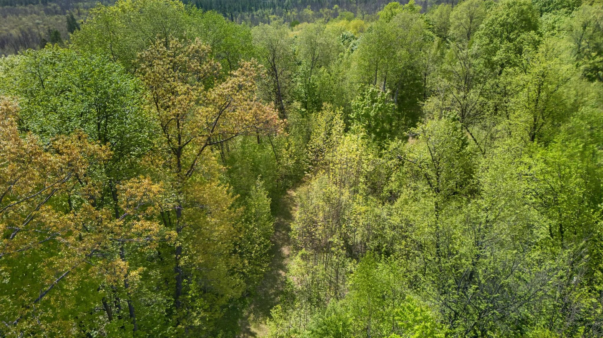12644-MN70-53.jpg