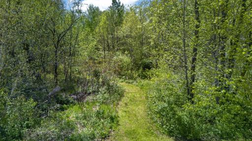 12644 State Highway 70, Pine City, MN 55063