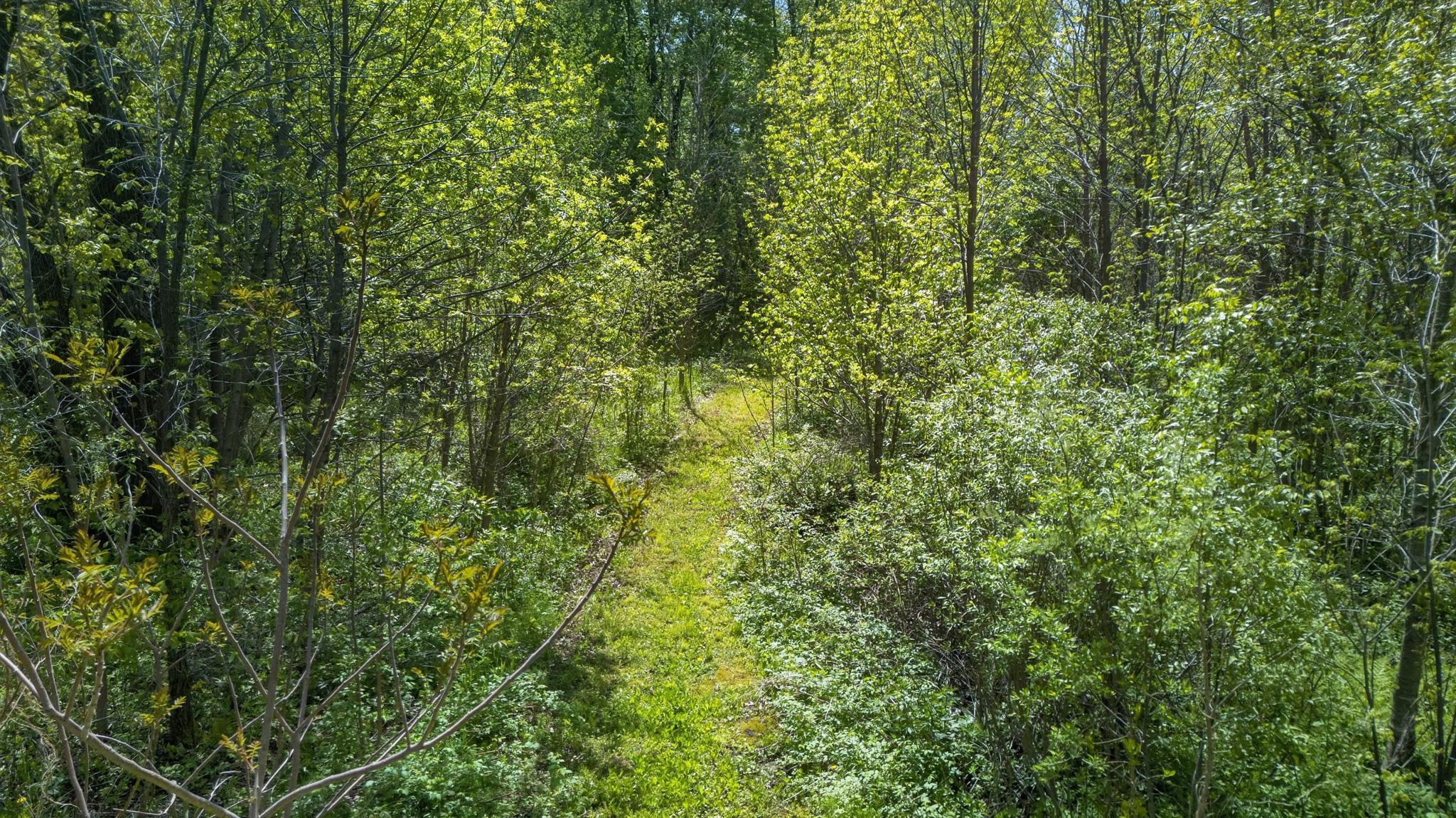 12644-MN70-54.jpg