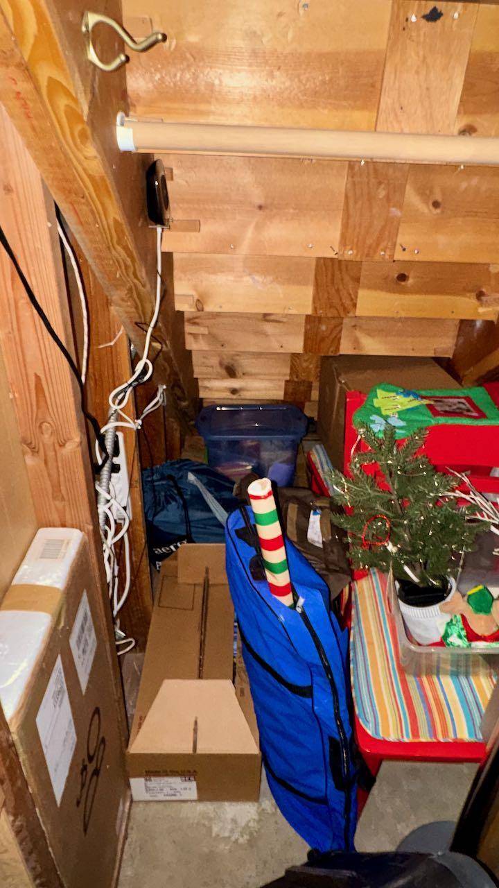 (13) Hidden Under Stairs Storage.jpeg