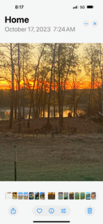 The most amazing sunrises