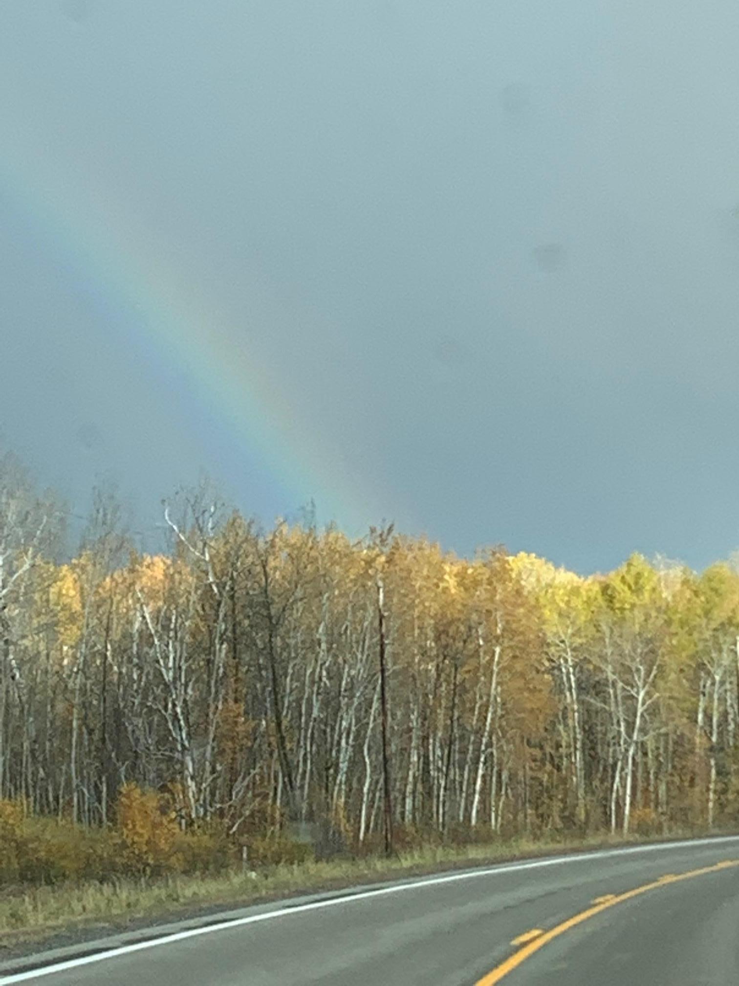 Rainbow on trees