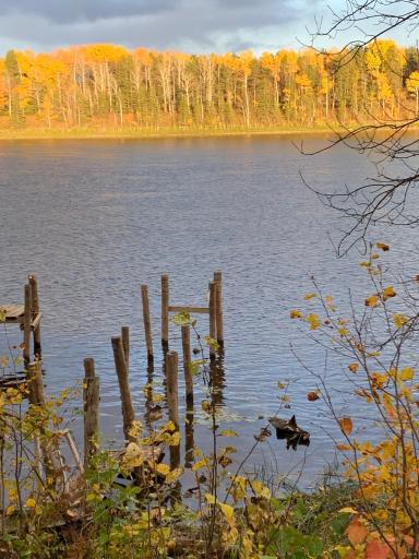 Rainy River views