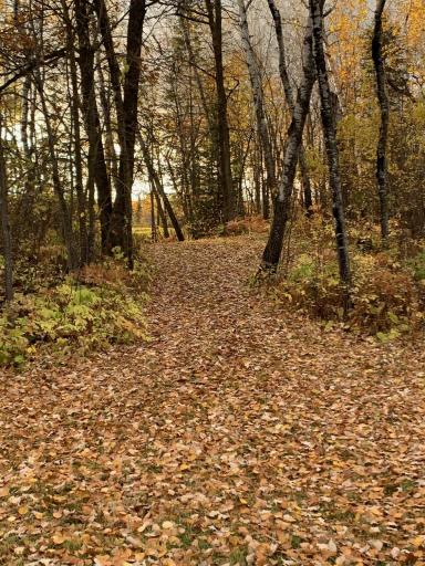 Fall trails