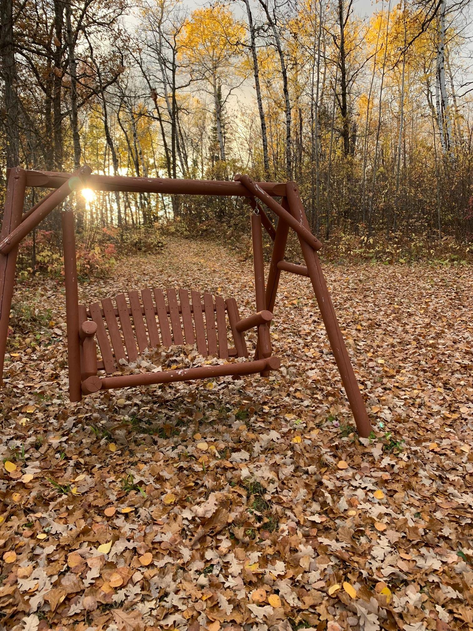 Fall setting up north