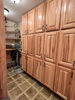 GINORMUS pantry with custom cabinets