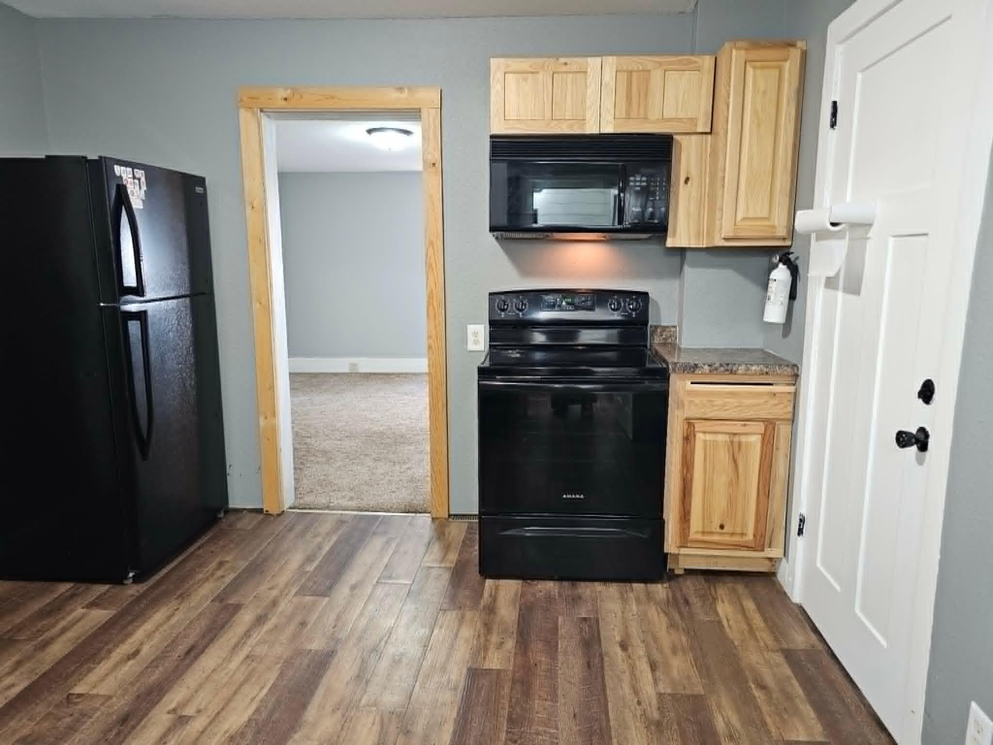 Lower Level Kitchen