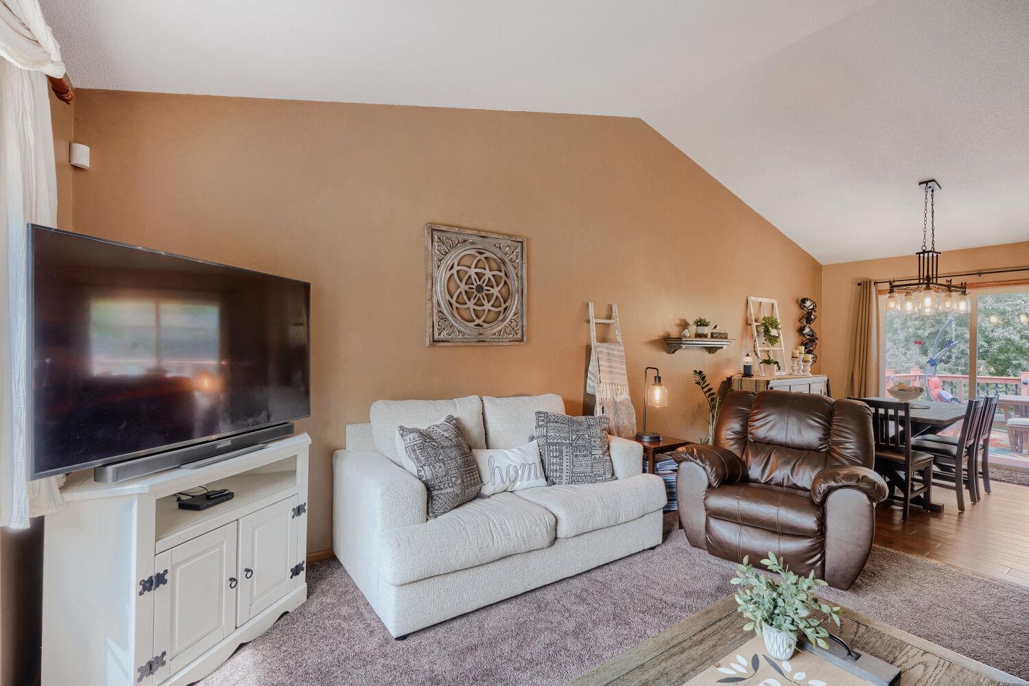 Living Room - newer carpet