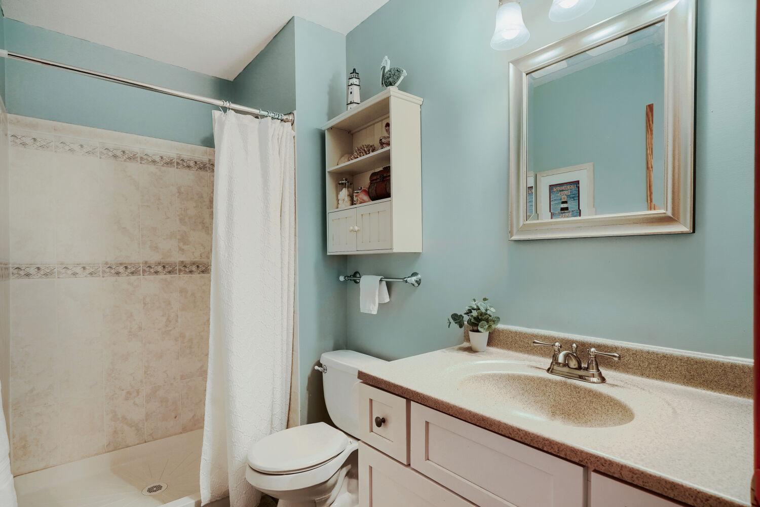 Lower Level Bathroom