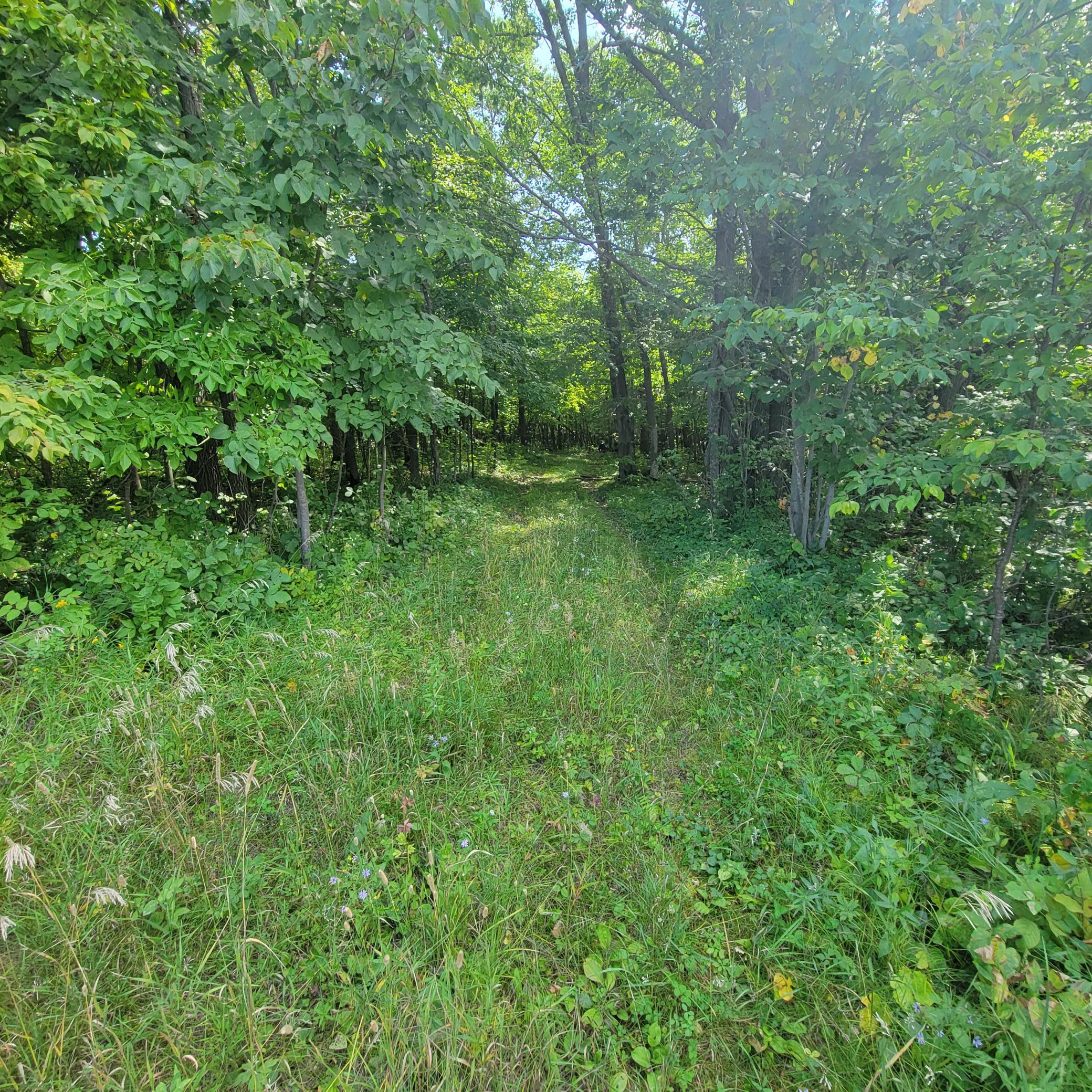 20250829_122513.jpg