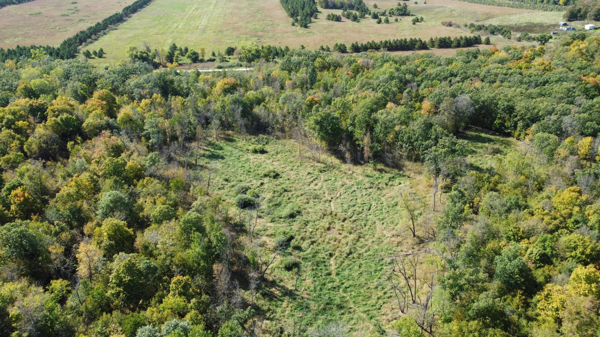 DJI_0908.JPG
