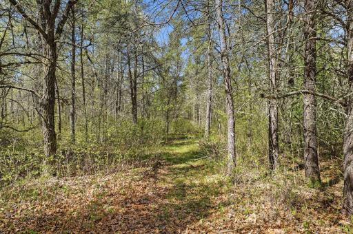 15077 Skog Road, Grantsburg, WI 54840