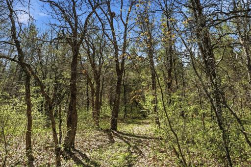 15077 Skog Road, Grantsburg, WI 54840
