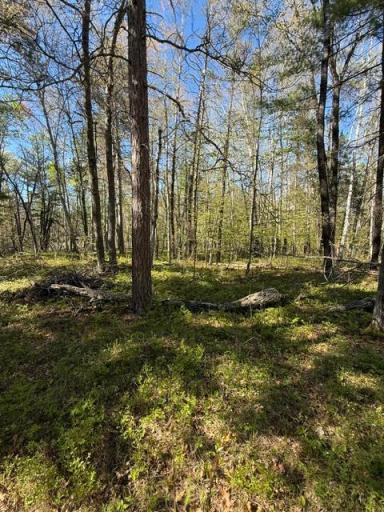 36573 Palmer Drive, Crosslake, MN 56447