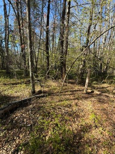 36573 Palmer Drive, Crosslake, MN 56447