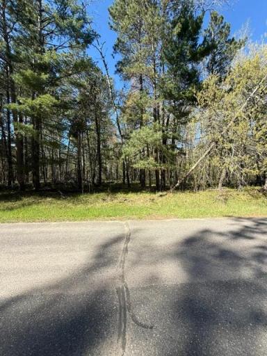 36573 Palmer Drive, Crosslake, MN 56447