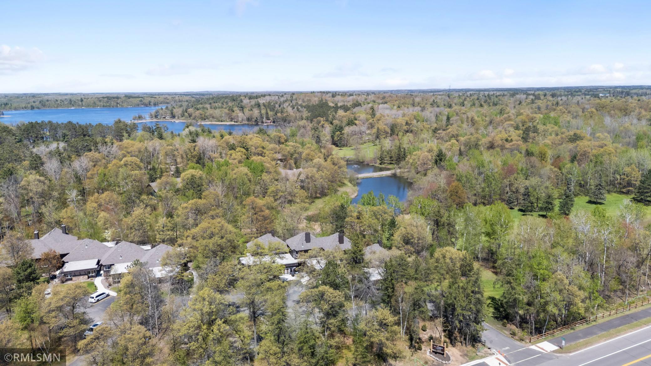 Drone treetops to lake.jpg
