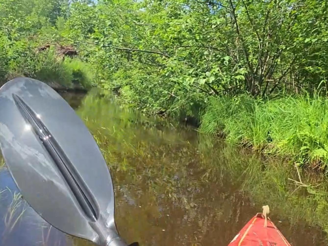 11-mls_c_kayak3.jpg
