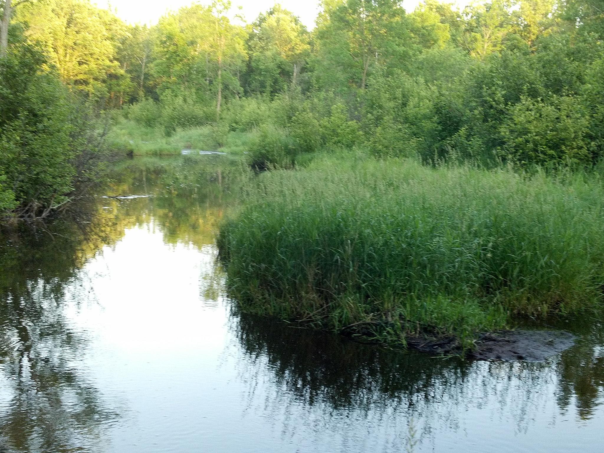 4-mls_5_winding_creek.jpg