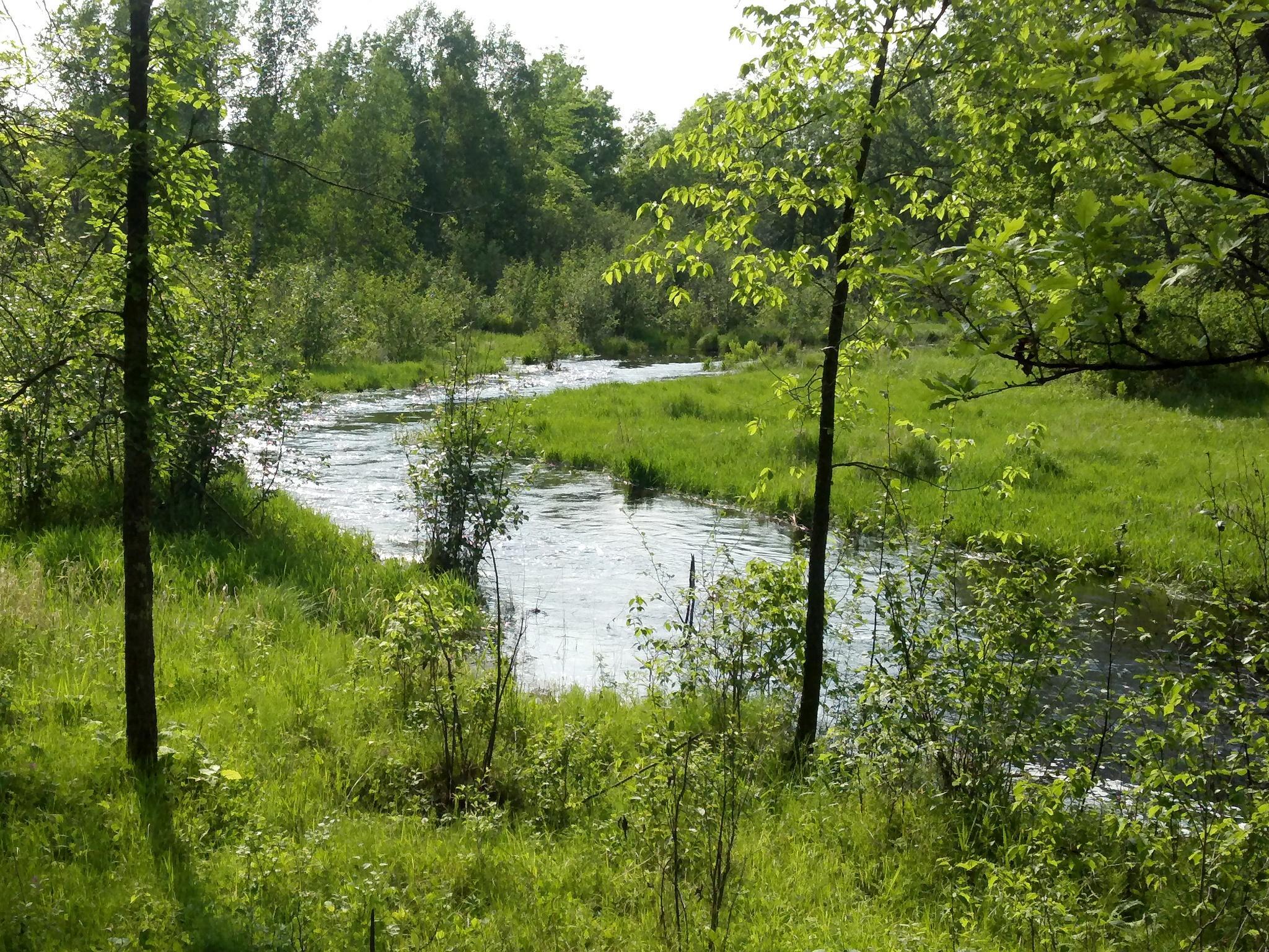 0-mls_1st_pokegama_creek.jpg