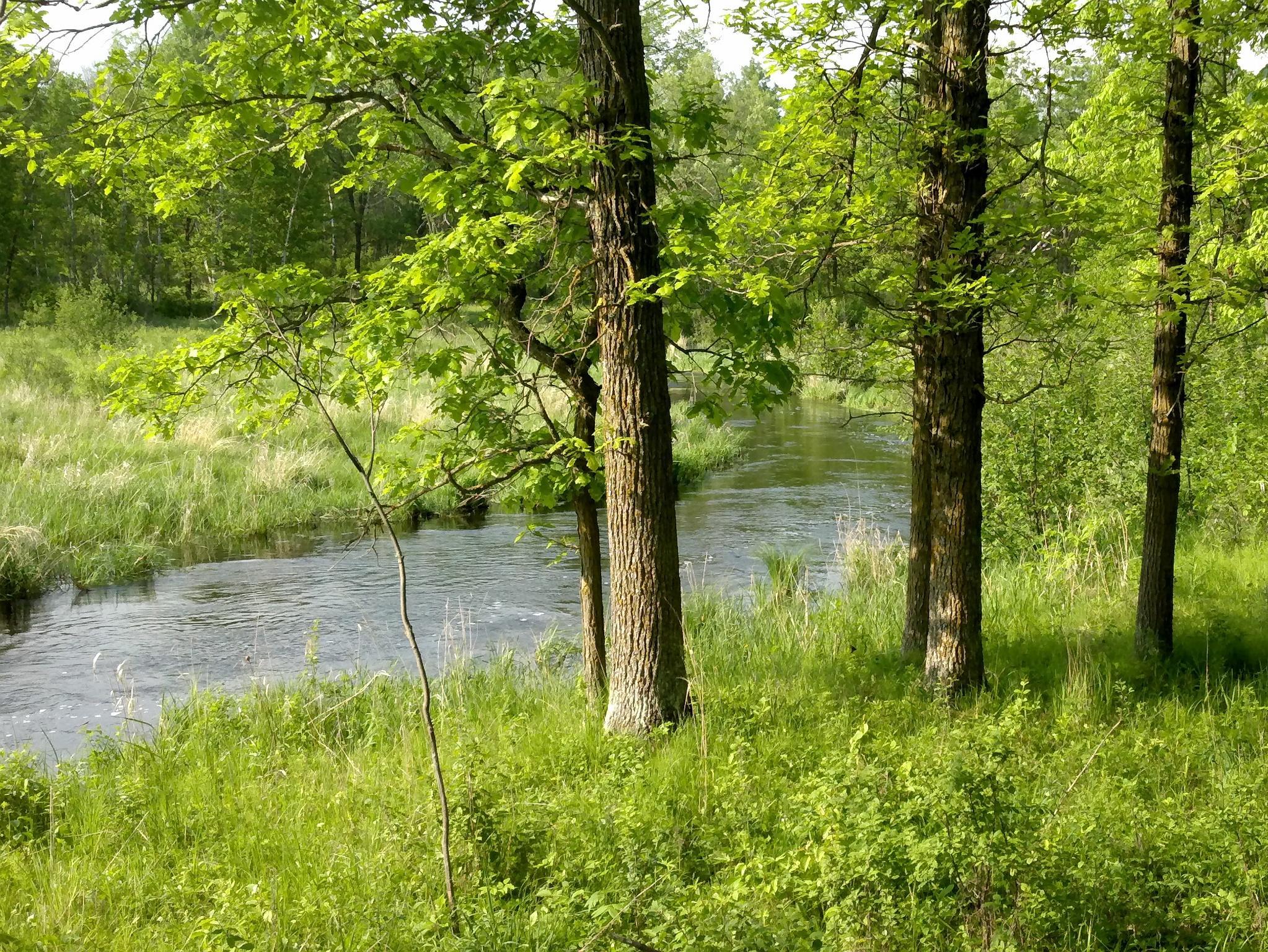 1-mls_2_downstream.jpg