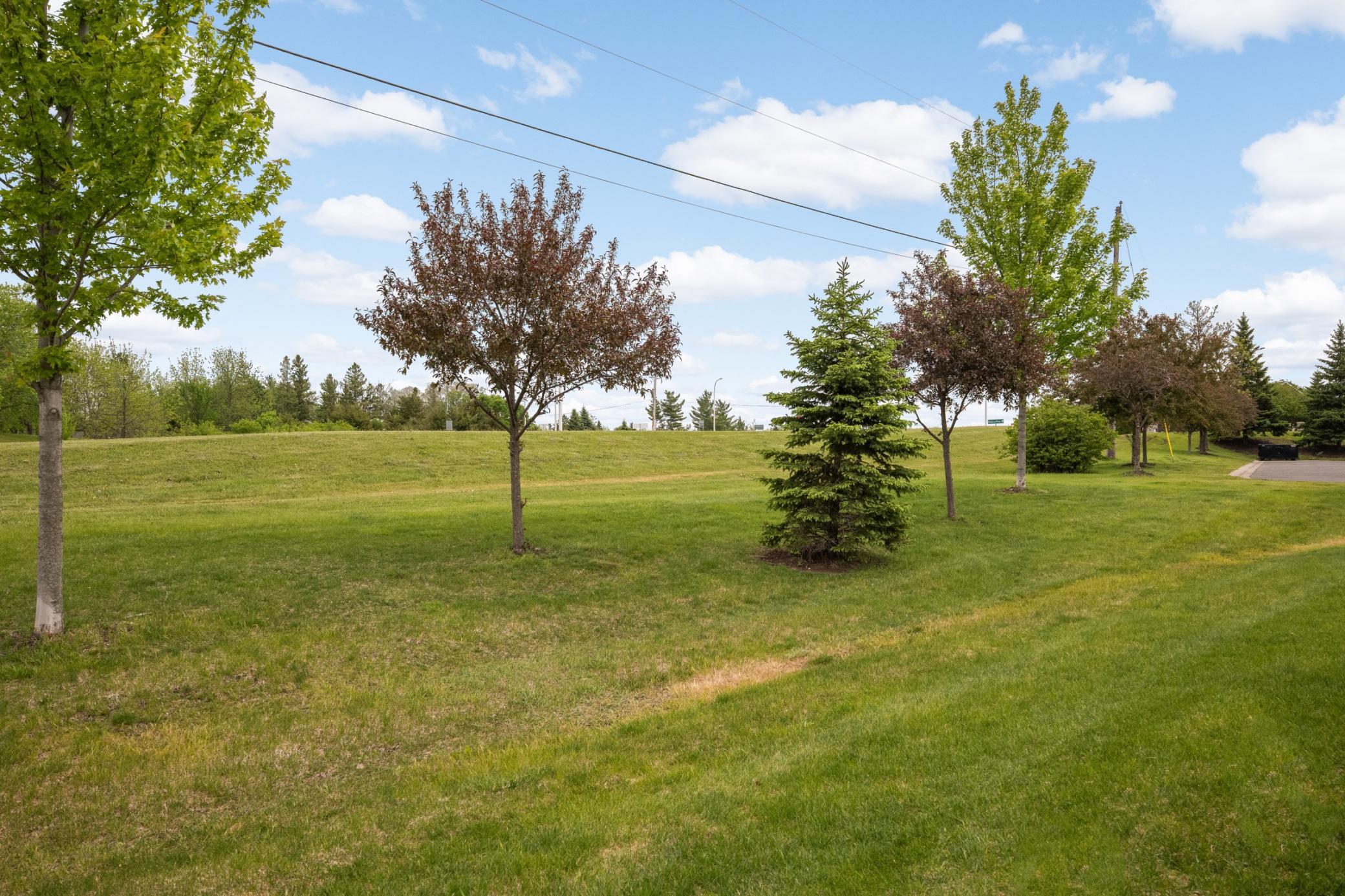 This is your view from the back deck and living room
