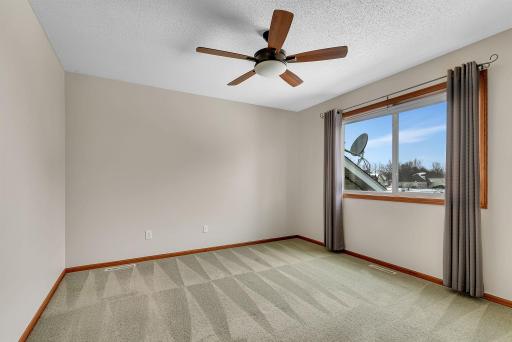 Primary bedroom with a large windowscape, ceiling fan, and freshly cleaned carpeting.