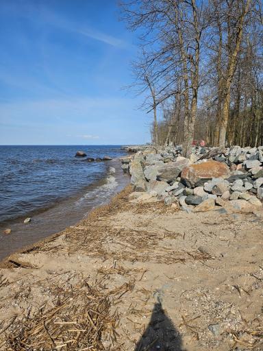 Shoreline