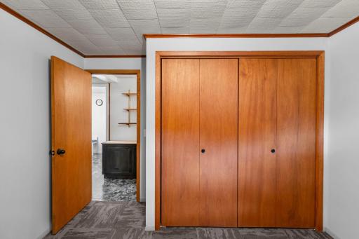 Basement Bonus Room/Den
