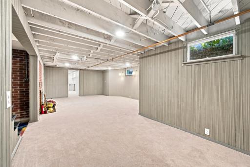 Family Room - Lots of storage
