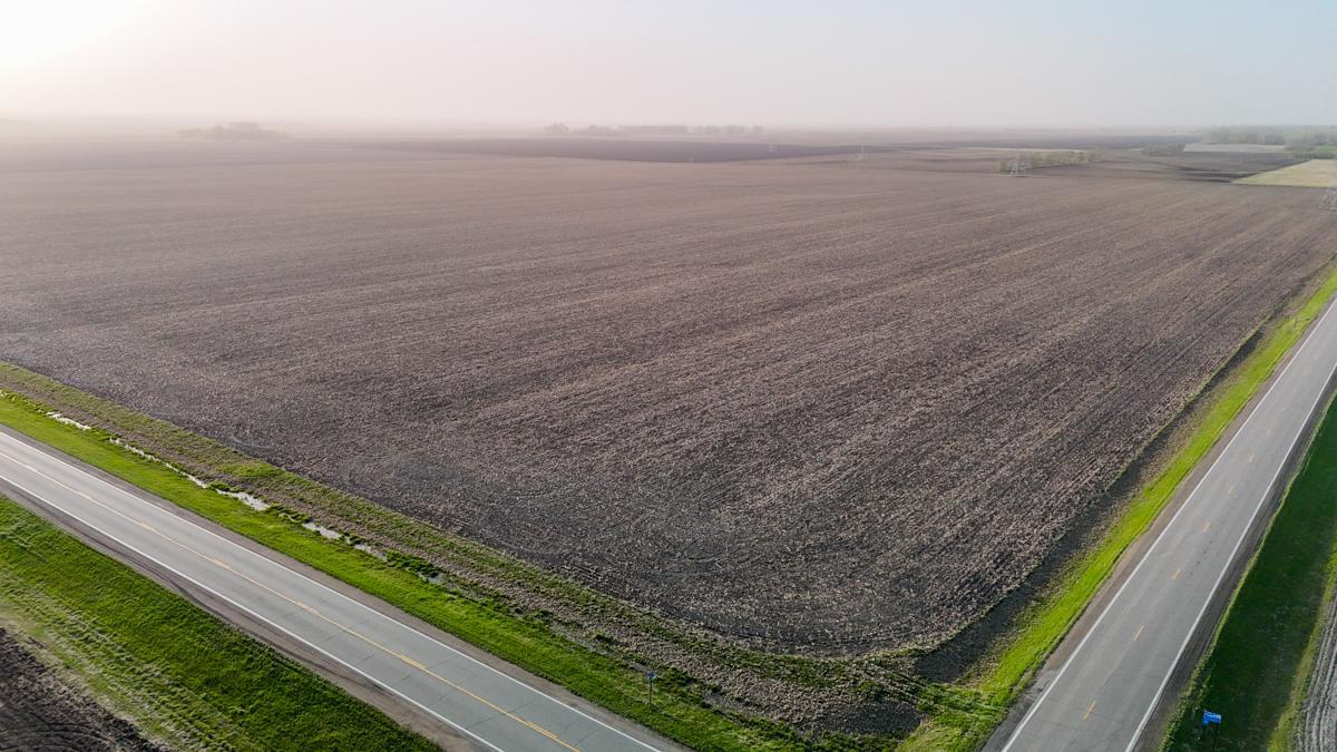 dji_fly_20260512_192538_0449_1778766984580_photo (1).jpg