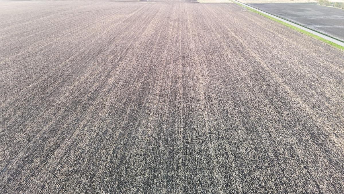 dji_fly_20260512_193658_0463_1778766951534_photo (1).jpg