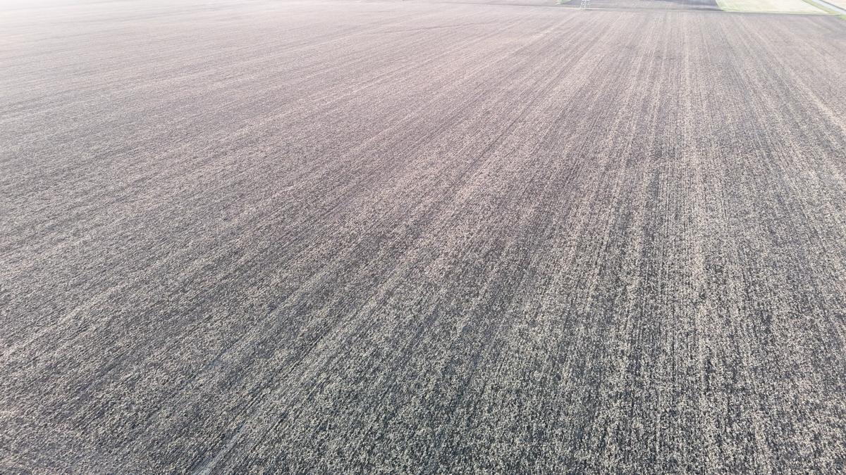 dji_fly_20260512_193700_0464_1778766951143_photo (1).jpg