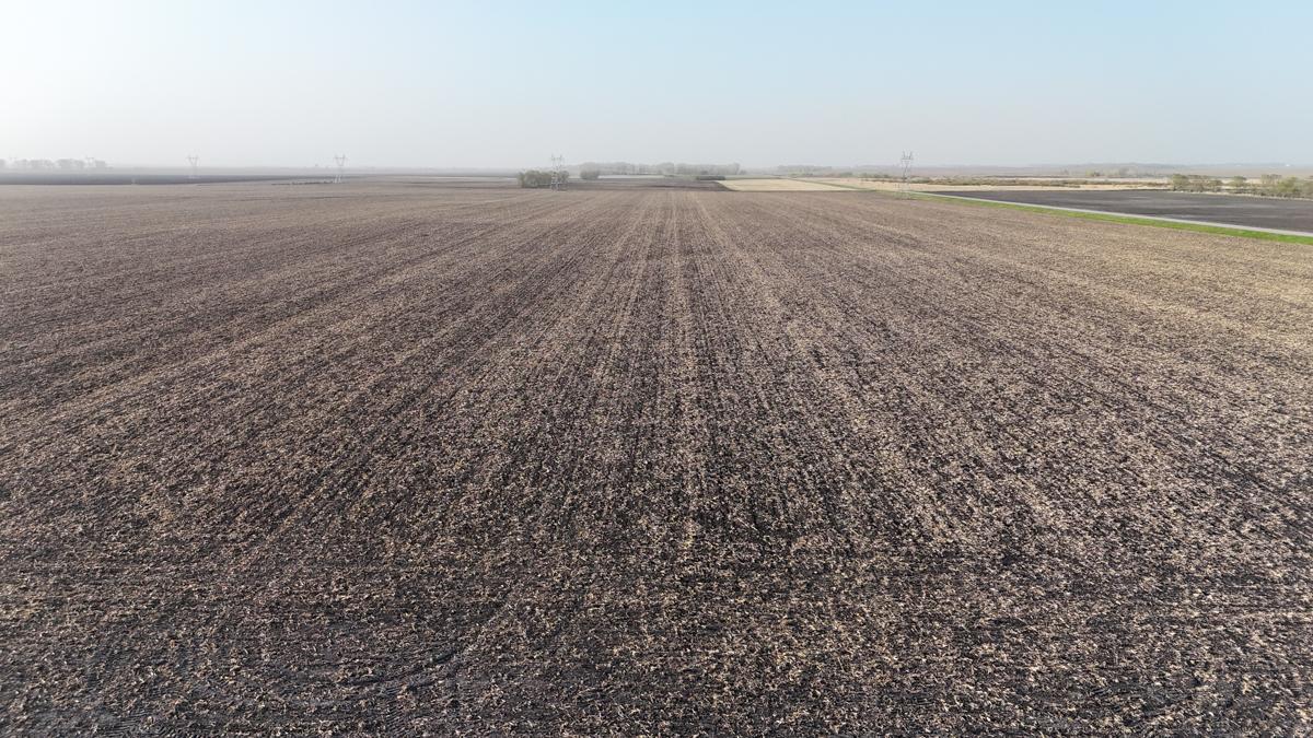 dji_fly_20260512_193712_0465_1778766950768_photo (1).jpg
