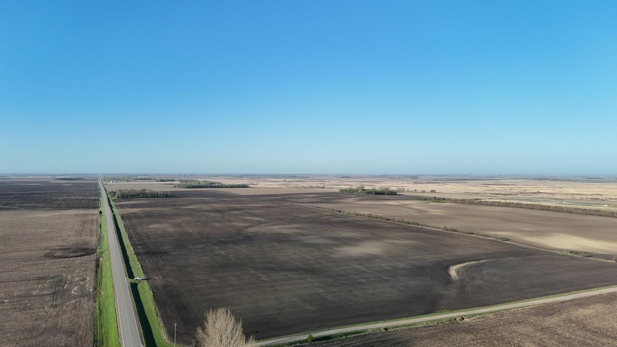dji_fly_20260513_074304_0467_1778766950207_photo.jpg
