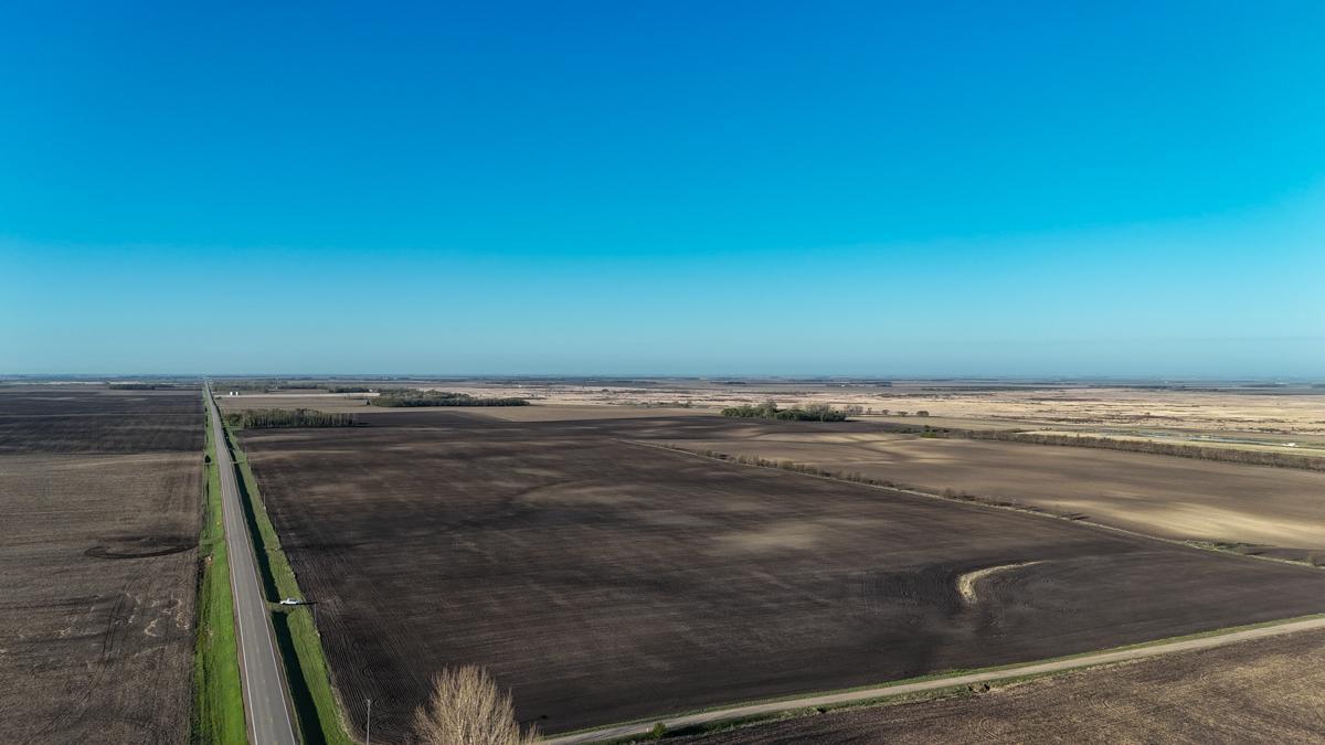 dji_fly_20260513_074308_0468_1778766950015_photo.jpg