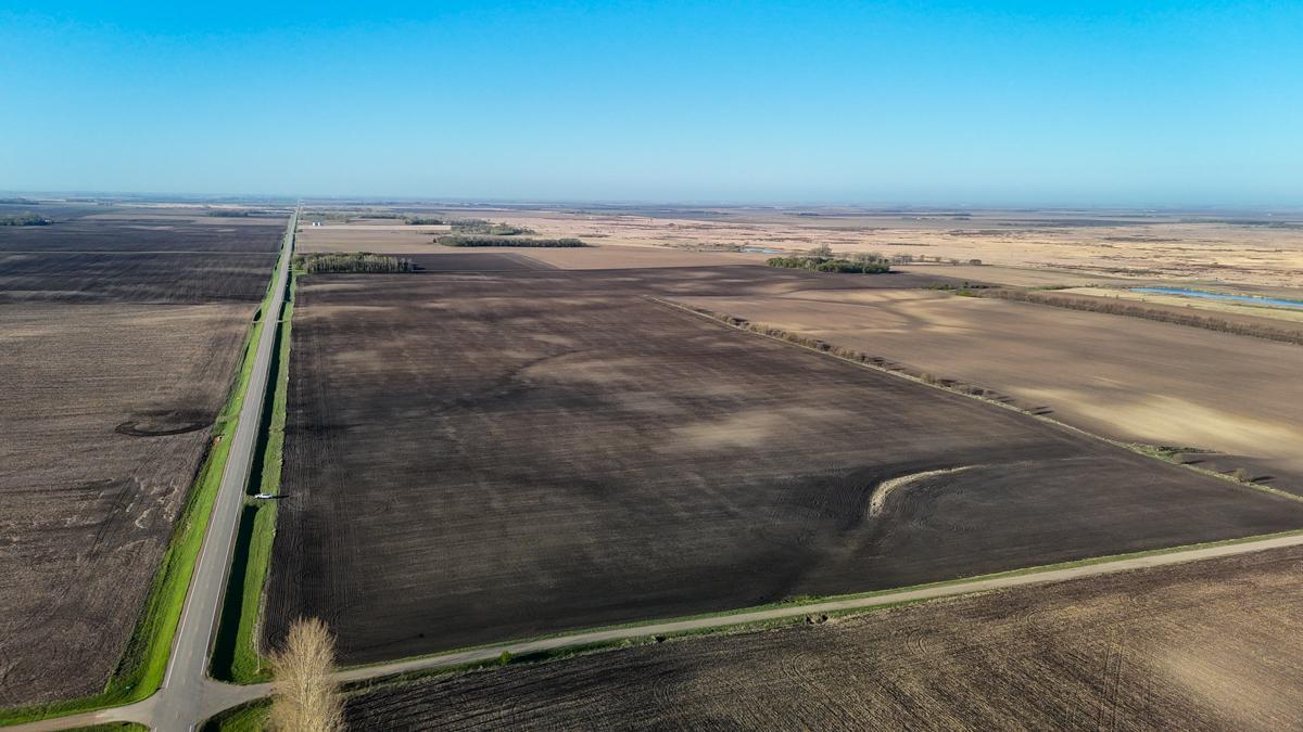 dji_fly_20260513_074326_0469_1778766949793_photo.jpg