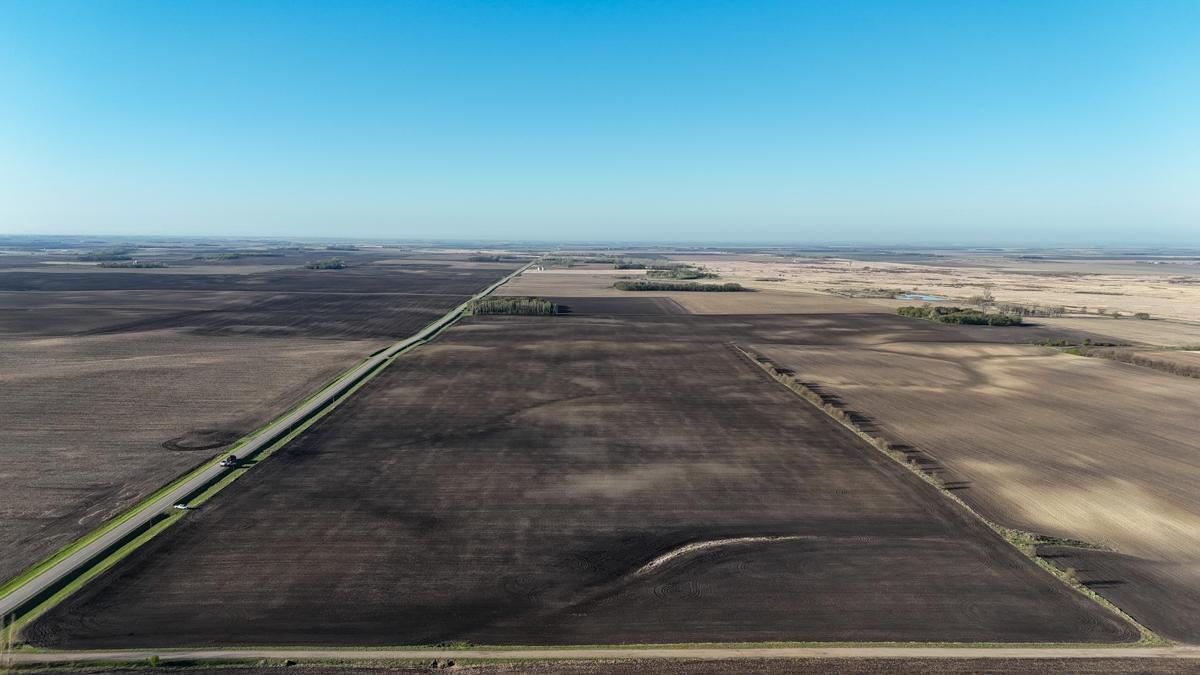 dji_fly_20260513_074418_0473_1778766949494_photo.jpg
