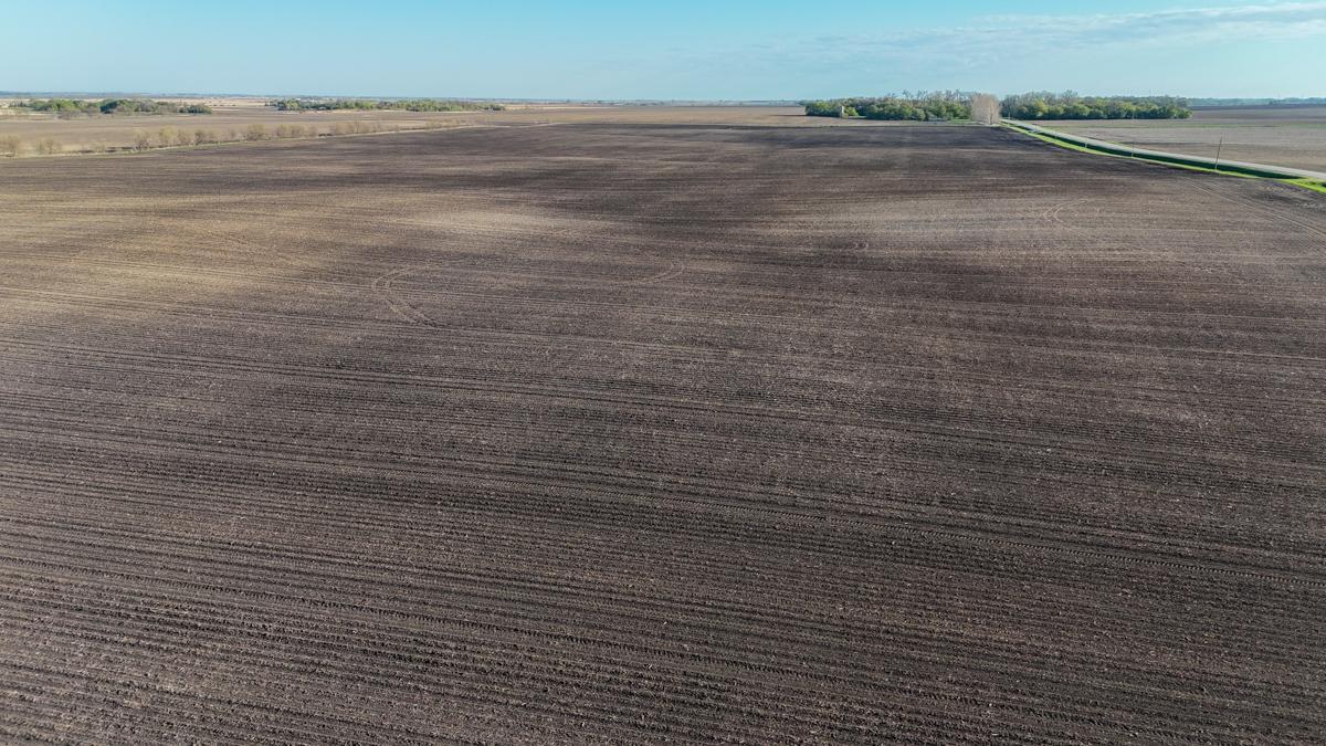 dji_fly_20260513_074742_0476_1778766904863_photo.jpg