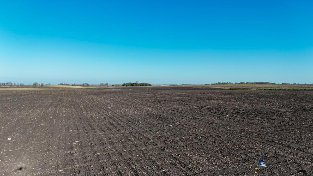 dji_fly_20260513_075140_0484_1778766902799_photo.jpg