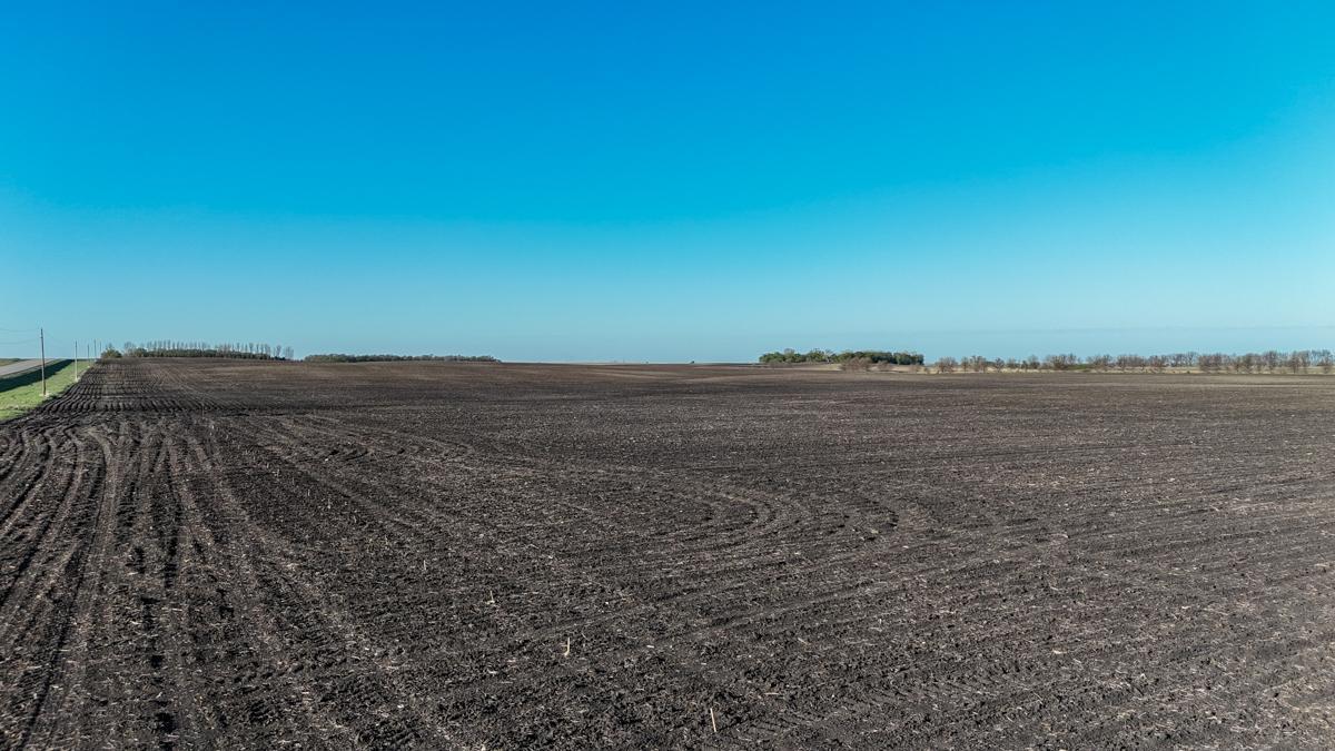 dji_fly_20260513_075146_0485_1778766902561_photo.jpg