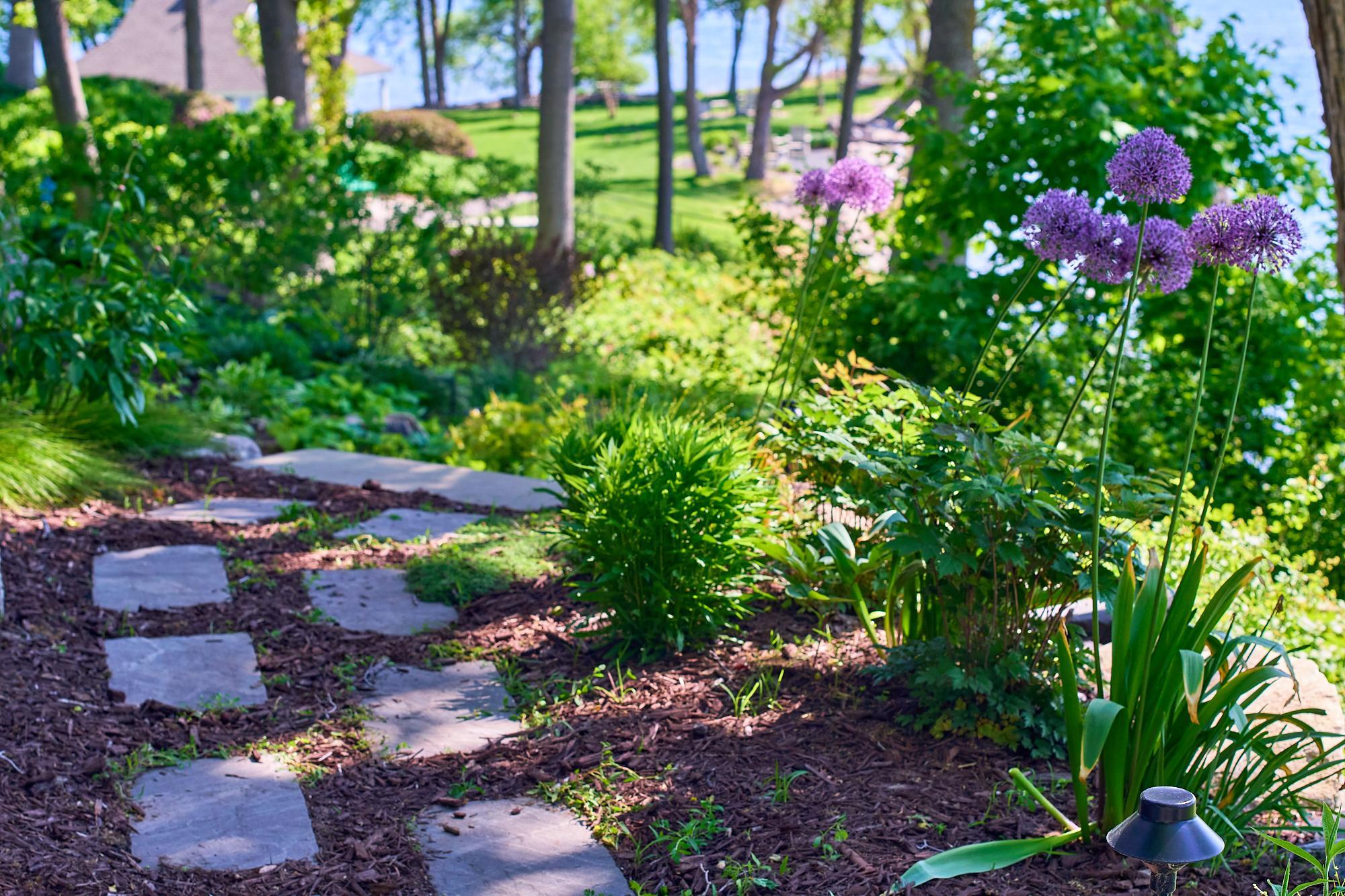 Professionally regraded lot with low maintenance perennial plantings